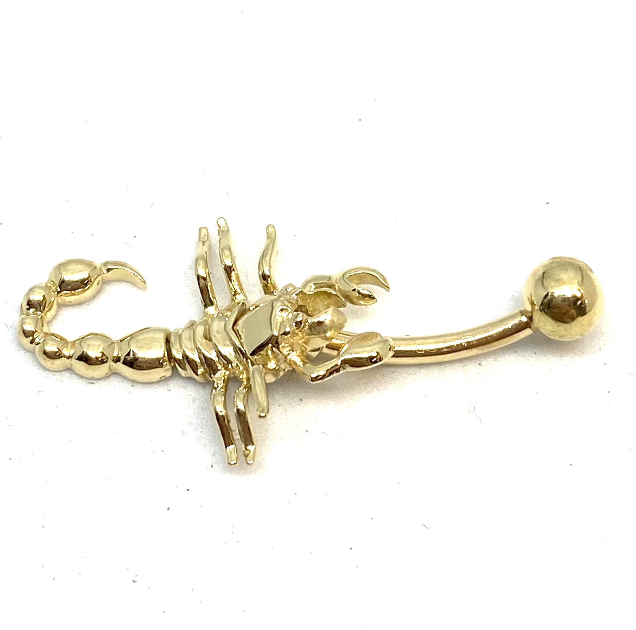 Barbel en or 14K, scorpion - BPY-SIND-SCOR - C.B.E